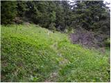 Koprivna (Kumer) - Velika glava (Peca)